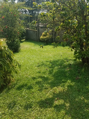 Sanyu Christine Mawemuko